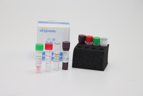 Equipo fluorescente cuantitativo de la polimerización en cadena de la prueba del equipo ISO9001 de la prueba de la esponja de la polimerización en cadena de Boca Virus HBoV RT