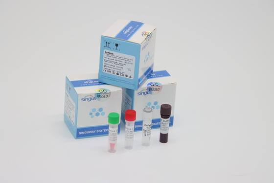 Laboratorio usando equipo dual de la muestra de la esponja de la polimerización en cadena del virus clínico de LP de los equipos de la prueba de la polimerización en cadena Covid del RT medios