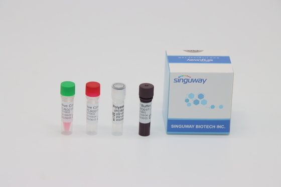CMV prueba Kit tiempo real Nucleic Acid de la polimerización en cadena del RT del virus que prueba ISO13485
