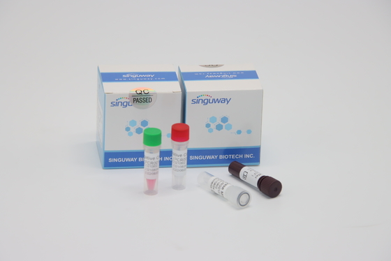 Prueba rápida del virus de Kit Quantitative Fluorescent For HFMD de la prueba de la polimerización en cadena del RT