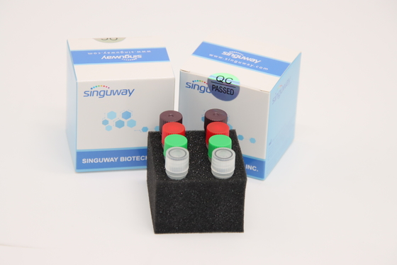 CE en tiempo real fluorescente de Kit Laboratory Use de la prueba del equipo HSV2 de la polimerización en cadena de HCV RT