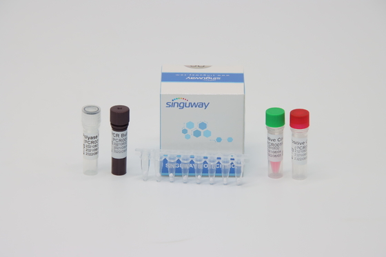 Equipo exacto 48 de la prueba de la polimerización en cadena del RT del virus de dengue 96 pruebas por volumen de la reacción del equipo 20uL
