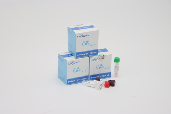 Alta precisión de RSV del virus del RT de la polimerización en cadena de la prueba de la diagnosis clínica inmediata rápida del equipo POCT IVD