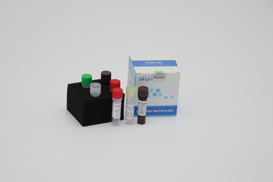 Detección en tiempo real rápida múltiplex de Kit Reagents For Sars Virus de la detección de la polimerización en cadena del RT del laboratorio