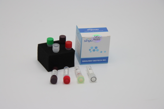 Equipo 48 de la prueba de la polimerización en cadena del RT del virus de gripe aviar equipo nasal de la prueba de la esponja de 96 pruebas