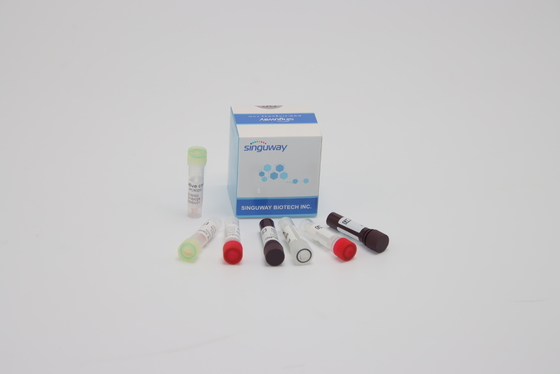 Detección Kit Nucleic Acid Genetic Testing de la polimerización en cadena de ORF1ab HPV para la diagnosis clínica