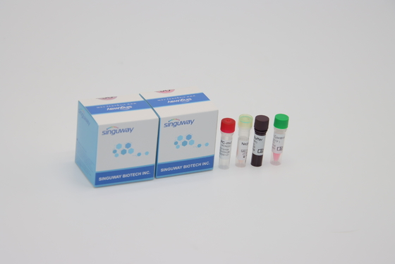 Paso QPCR Kit Oral Swab For Lab de Alpha Beta Delta Gamma Mutations One usando