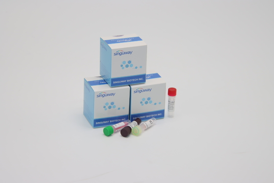 Equipos de diagnóstico en tiempo real de la polimerización en cadena de la prueba de Coronavirus del CE ultrarrápidos en el plazo de 30 minutos