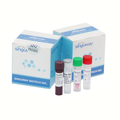 Detección nasal Kit Molecular Diagnostic Test de la polimerización en cadena de la mutación de Covid Omicron de la esponja