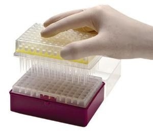 La pipeta consumible de la polimerización en cadena del laboratorio inclina las extremidades disponibles 10-1250μL de la micropipeta