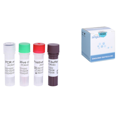 Equipo rápido de la polimerización en cadena de Kit Quantitative HCV RT de la prueba del ARN HCV del virus de la hepatitis C