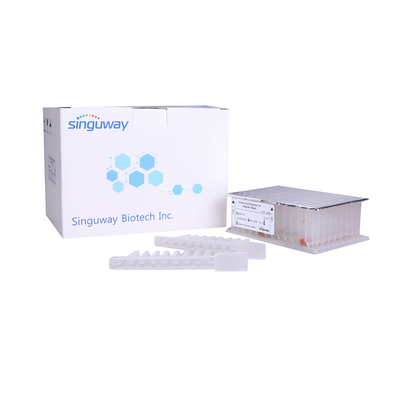 Purificación viral ácida nucléica Kit Singuway del ARN de Kit Magnetic Beads de la purificación de la DNA
