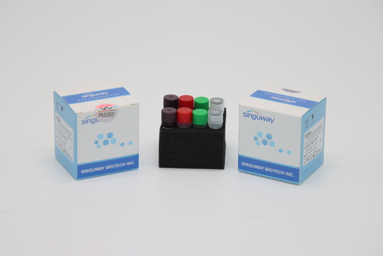 Super Sensitive de Kit Collection IVD de la prueba de la polimerización en cadena del RT del virus de rabia H1N1 para el hospital