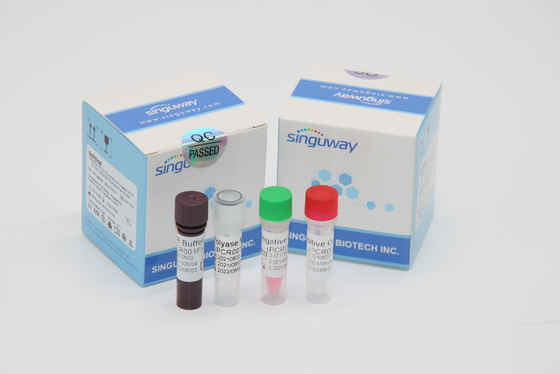 Polimerización en cadena Kit Nasal Swab Within de diagnóstico del RT del virus de la tuberculosis de micobacteria 30 minutos