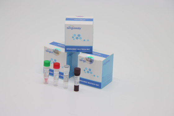 Detección del virus VZV del Zoster de Kit High Stability For Varicella de la prueba de la polimerización en cadena del RT el reactivo de laboratorio