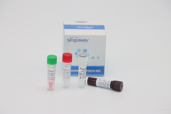 Virus molecular cuantitativo de Kit tiempo real For HPV Tox de la prueba de la polimerización en cadena del RT de la diagnosis