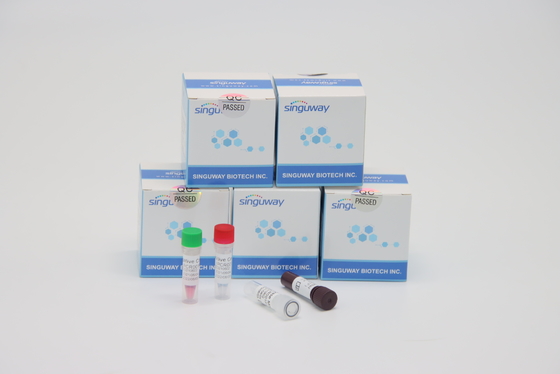 Polimerización en cadena ultrarrápida del RT del virus de la talasemia que prueba el equipo de la polimerización en cadena de la TB de Kit Lab Using