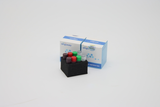 Prueba en tiempo real múltiplex de las mutaciones de la polimerización en cadena Kit For Covid 19 de los altos canales de la sensibilidad 6
