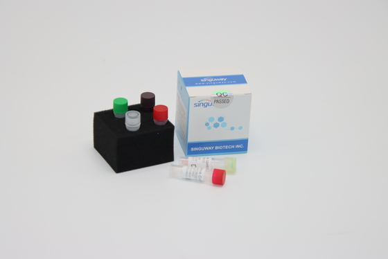 Polimerización en cadena ultrarrápida de Kit Reagents Required For de la detección de la polimerización en cadena de la DNA del virus de rabia