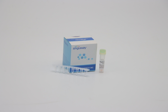 DNA que prueba la polimerización en cadena Kit For Lab Using del RT del paso del equipo 1 de la detección de la polimerización en cadena de FluA FluB