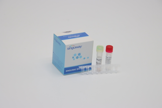 Fluorescencia en tiempo real los reactivo de la polimerización en cadena del IVD de la diagnosis clínica que sonda un equipo de la polimerización en cadena del paso