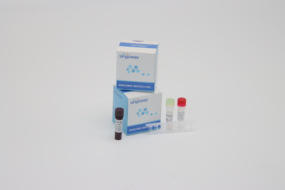 Reactivo en tiempo real múltiplexes de la polimerización en cadena Kit Coronavirus Nucleic Acid Detección del Super Sensitive