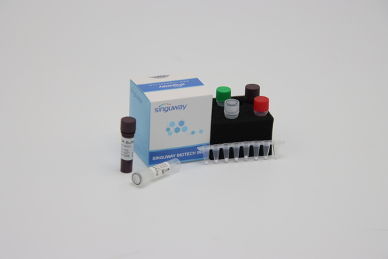 Detección cuantitativa Kit Reagent ISO13485 de la polimerización en cadena de la diagnosis molecular en el plazo de 30 minutos