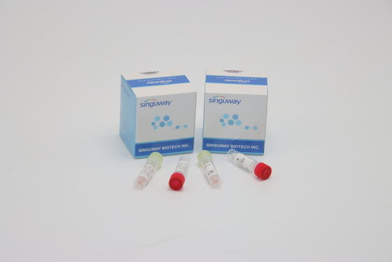 Prueba Kit Hepatitis B de la esponja de la polimerización en cadena del CE y diagnosis clínica de los equipos de la prueba de C