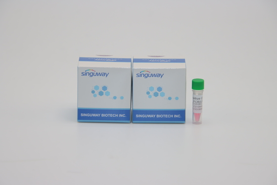 Píloros rápidos HP de la polimerización en cadena Kit Lab Reagent For Helicobacter del RT del paso de la alta precisión un