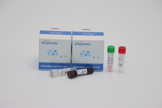 Prueba del adenovirus de los ADV de Kit Nasal Swab Sample For de la detección de la polimerización en cadena de la investigación de la fluorescencia