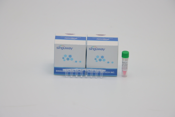 DNA del equipo de la detección de la polimerización en cadena de la TB de la tuberculosis de micobacteria del laboratorio POCT IVD que prueba ISO9001