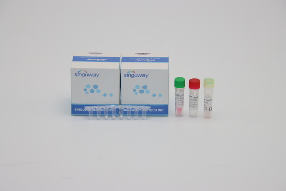 Equipo de la prueba de la polimerización en cadena del VIH de las pruebas de la polimerización en cadena Kit Highly Sensitive 96 del tiempo real del paso de la gripe B uno de la gripe A
