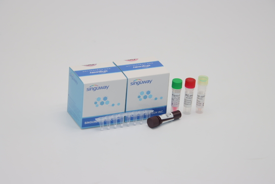 Detección de diagnóstico viral sincitial respiratoria Kit Nasal Swab de la polimerización en cadena del equipo RSV de la polimerización en cadena del RT