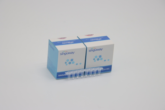 Alta prueba rápida en tiempo real Kit Lab Reagent ISO13485 de la hepatitis B del equipo HBV de la polimerización en cadena de la estabilidad HCV