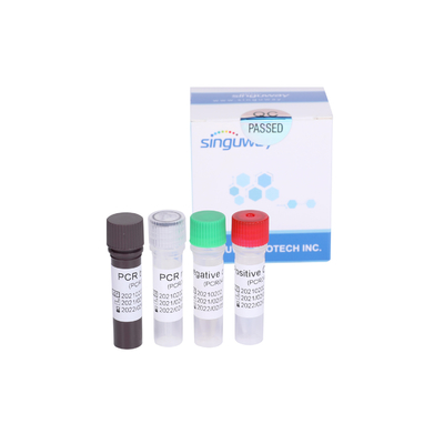 Equipo rápido O noreste Gene Detección Fluorescencia Investigacion de la prueba de la polimerización en cadena de Singuway Coronavirus RT