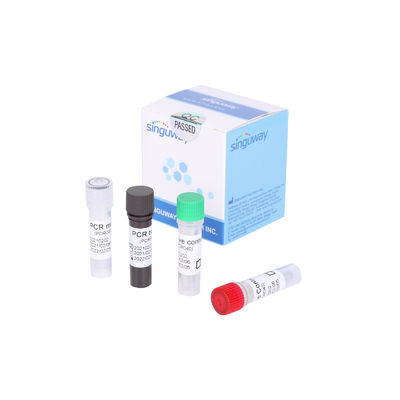 Gripe fluorescente de Kit For Detecting 2019-NCoV de la prueba de la polimerización en cadena del RT un virus de la gripe B del virus
