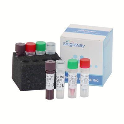 Sensibilidad cualitativa casera del volumen 2000 Copies/ML de MTHFR Gene Test Kit 50uL