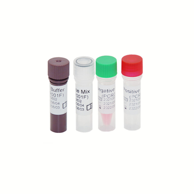 Prueba Kit High Sensitivity de la polimerización en cadena del RT del genoma de HBV HCV HIV-1 30 IU/ML
